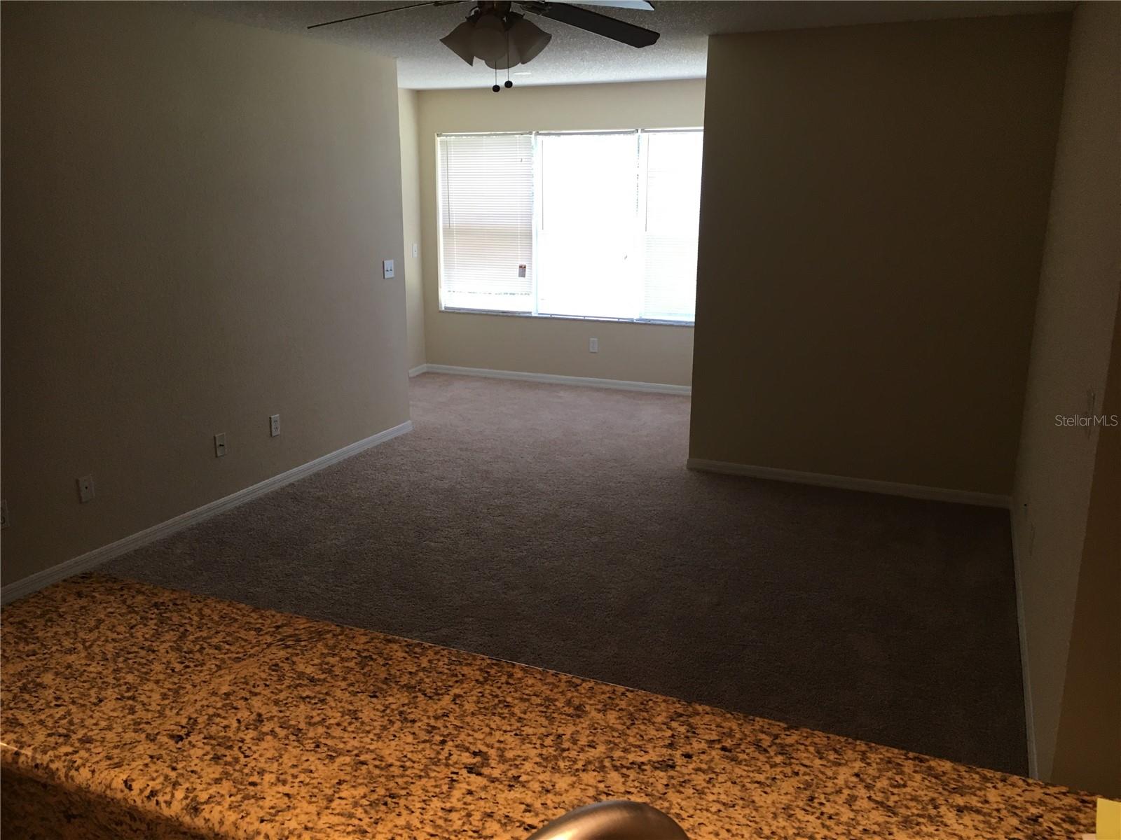 5120 CONROY RD #516, ORLANDO, FL, 32811