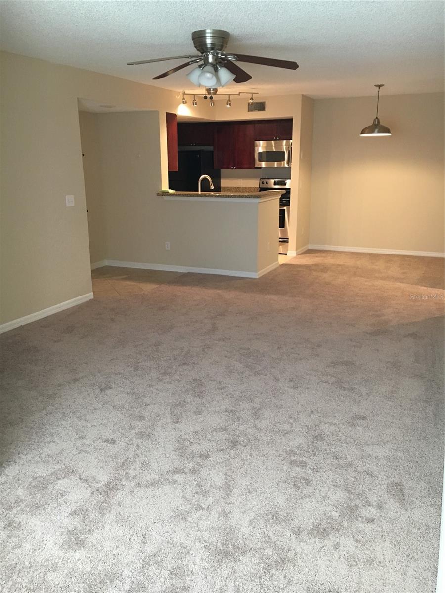 5120 CONROY RD #516, ORLANDO, FL, 32811