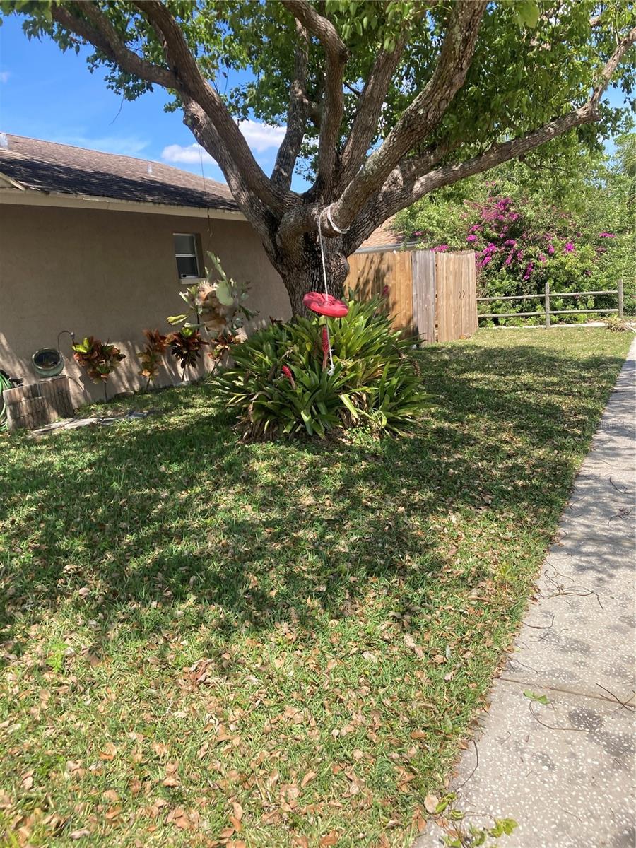 7923 ADELAIDE LOOP, NEW PORT RICHEY, FL, 34655