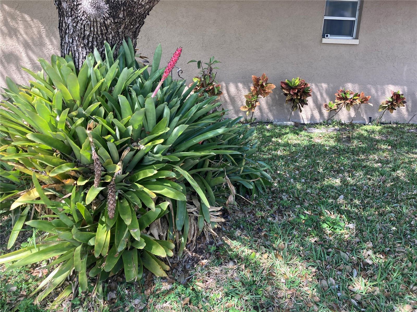 7923 ADELAIDE LOOP, NEW PORT RICHEY, FL, 34655