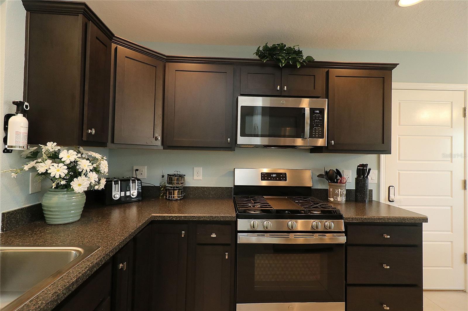 886 HUBBARD LOOP, THE VILLAGES, FL, 32163