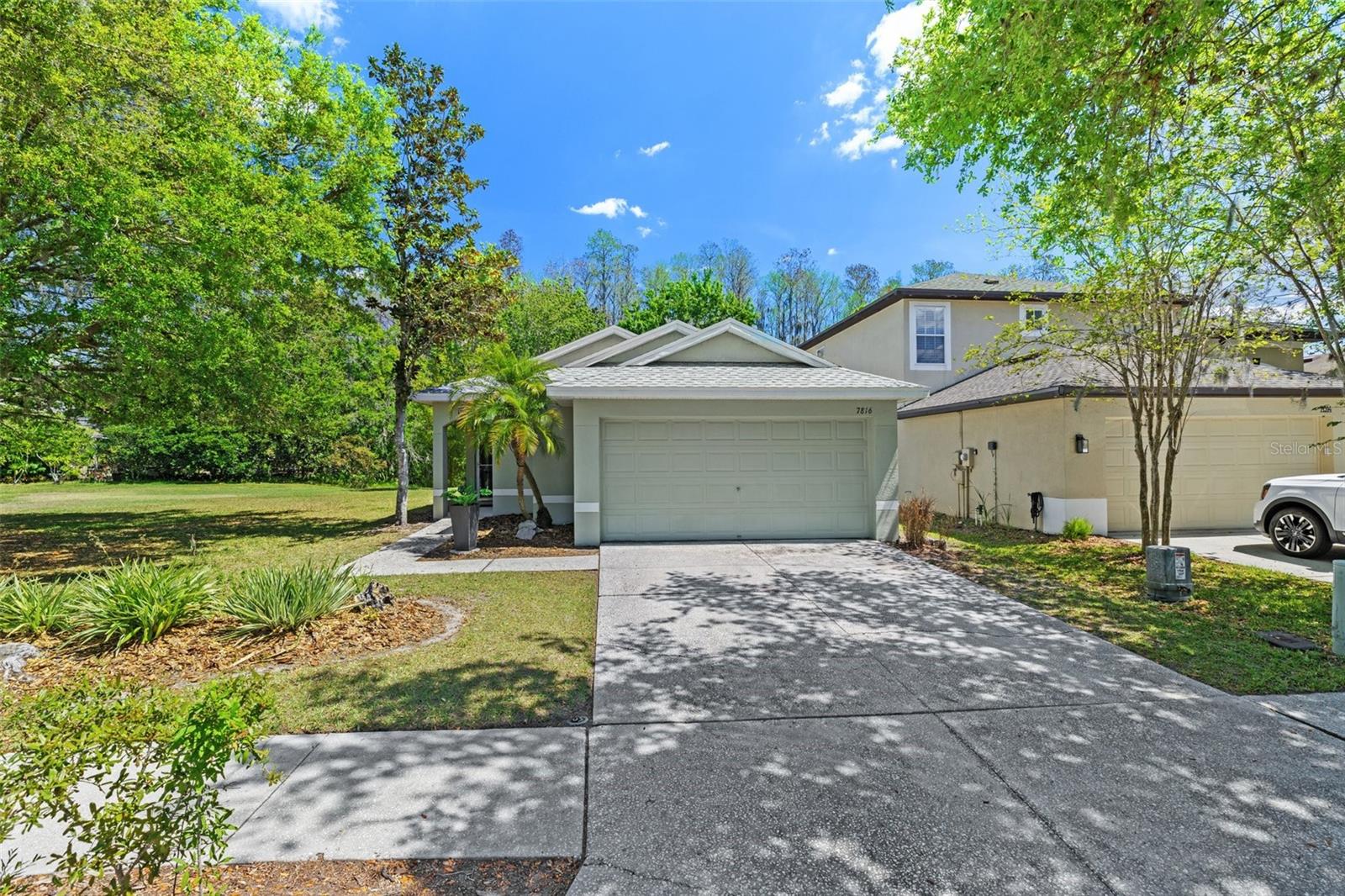 7816 CITRUS BLOSSOM DR, LAND O LAKES, FL, 34637