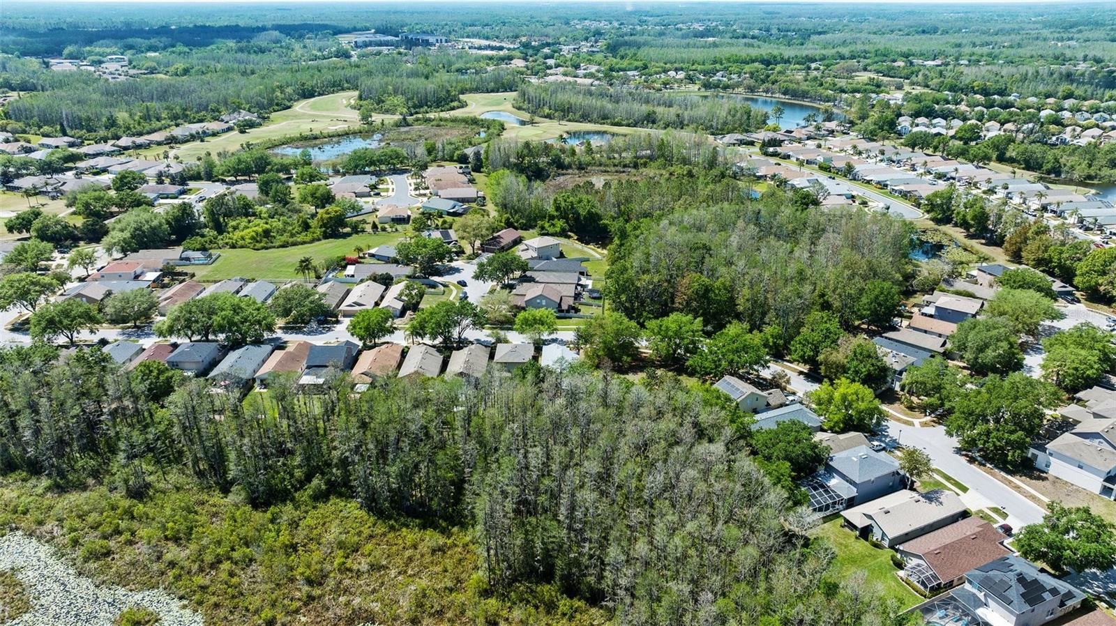 7816 CITRUS BLOSSOM DR, LAND O LAKES, FL, 34637