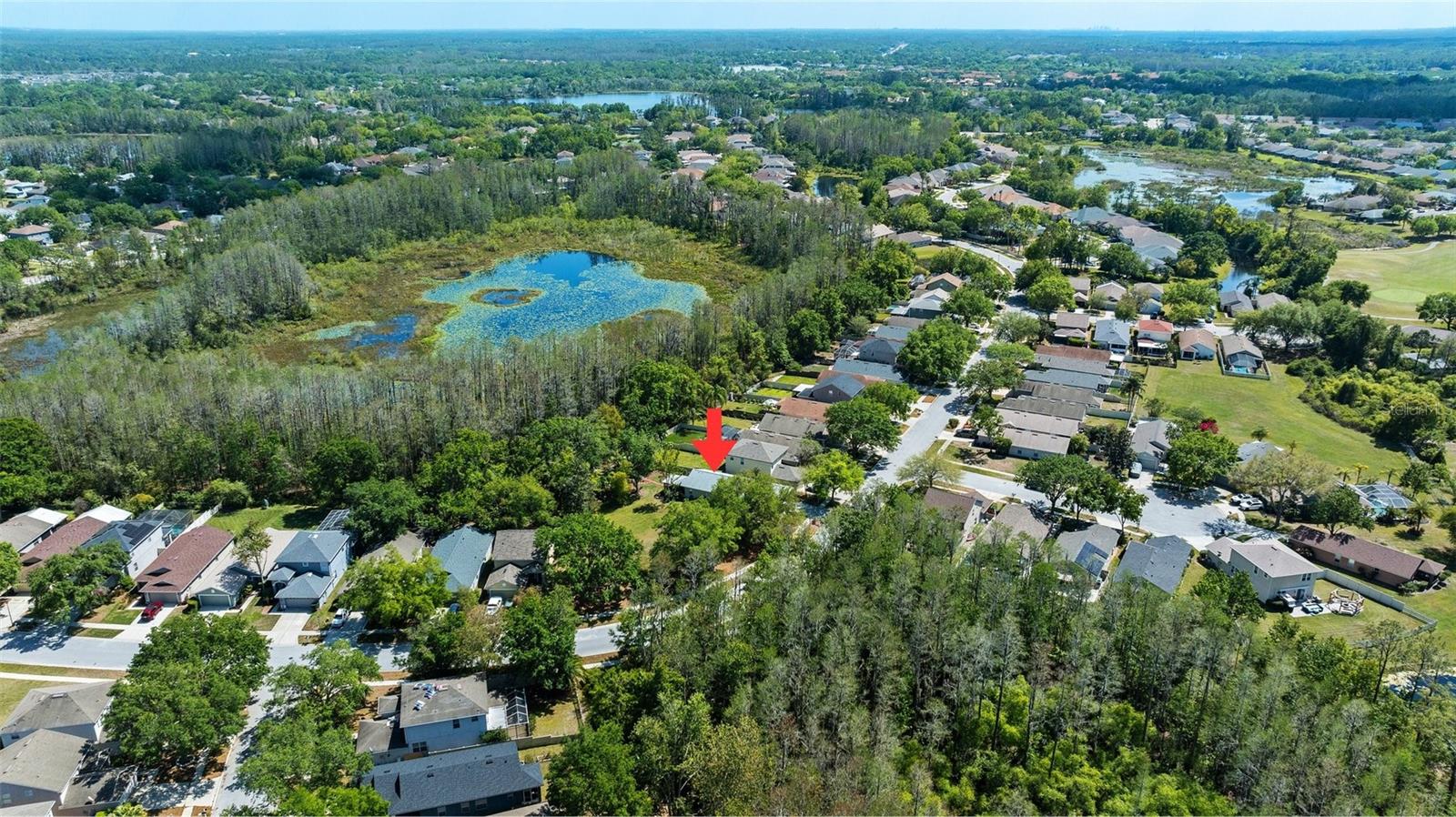7816 CITRUS BLOSSOM DR, LAND O LAKES, FL, 34637