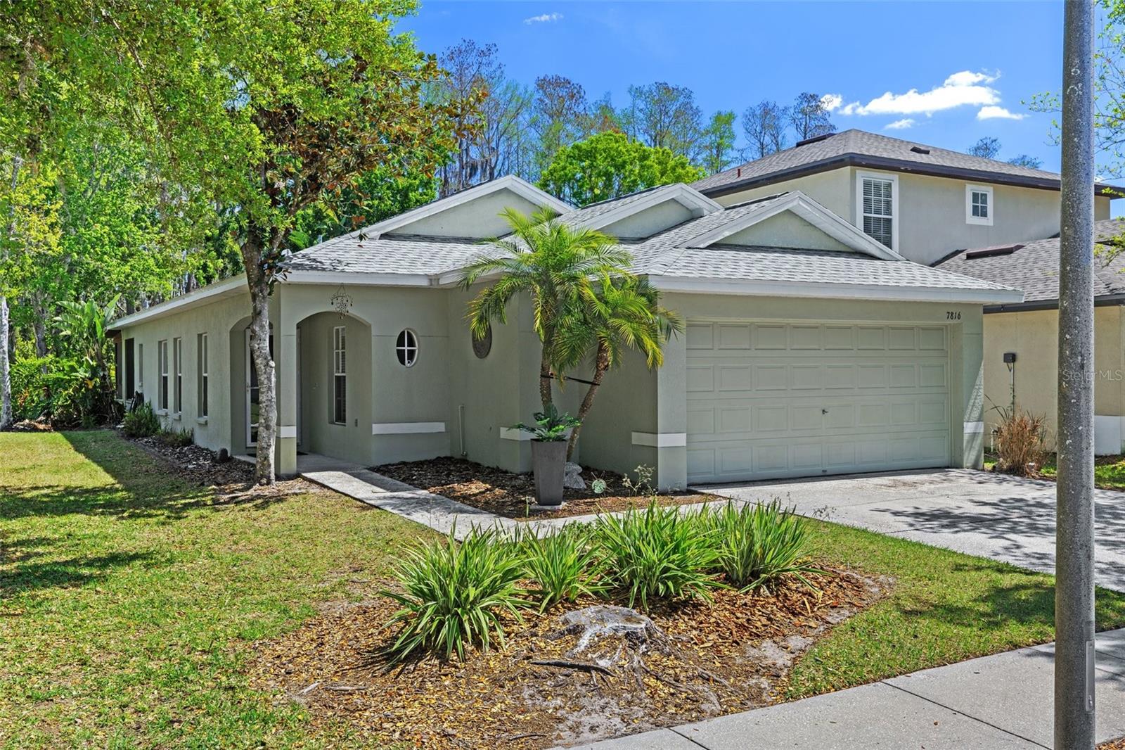 7816 CITRUS BLOSSOM DR, LAND O LAKES, FL, 34637