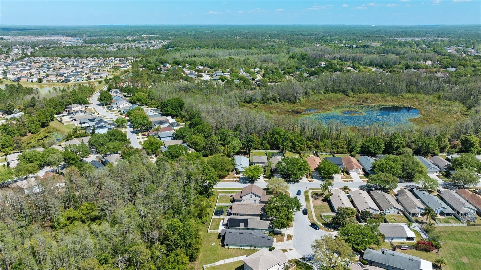 7816 CITRUS BLOSSOM DR, LAND O LAKES, FL, 34637