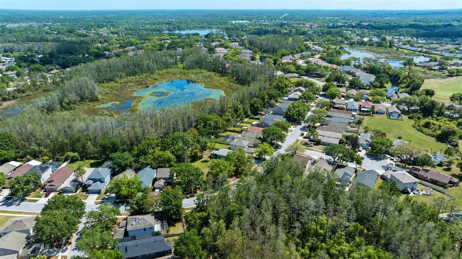 7816 CITRUS BLOSSOM DR, LAND O LAKES, FL, 34637