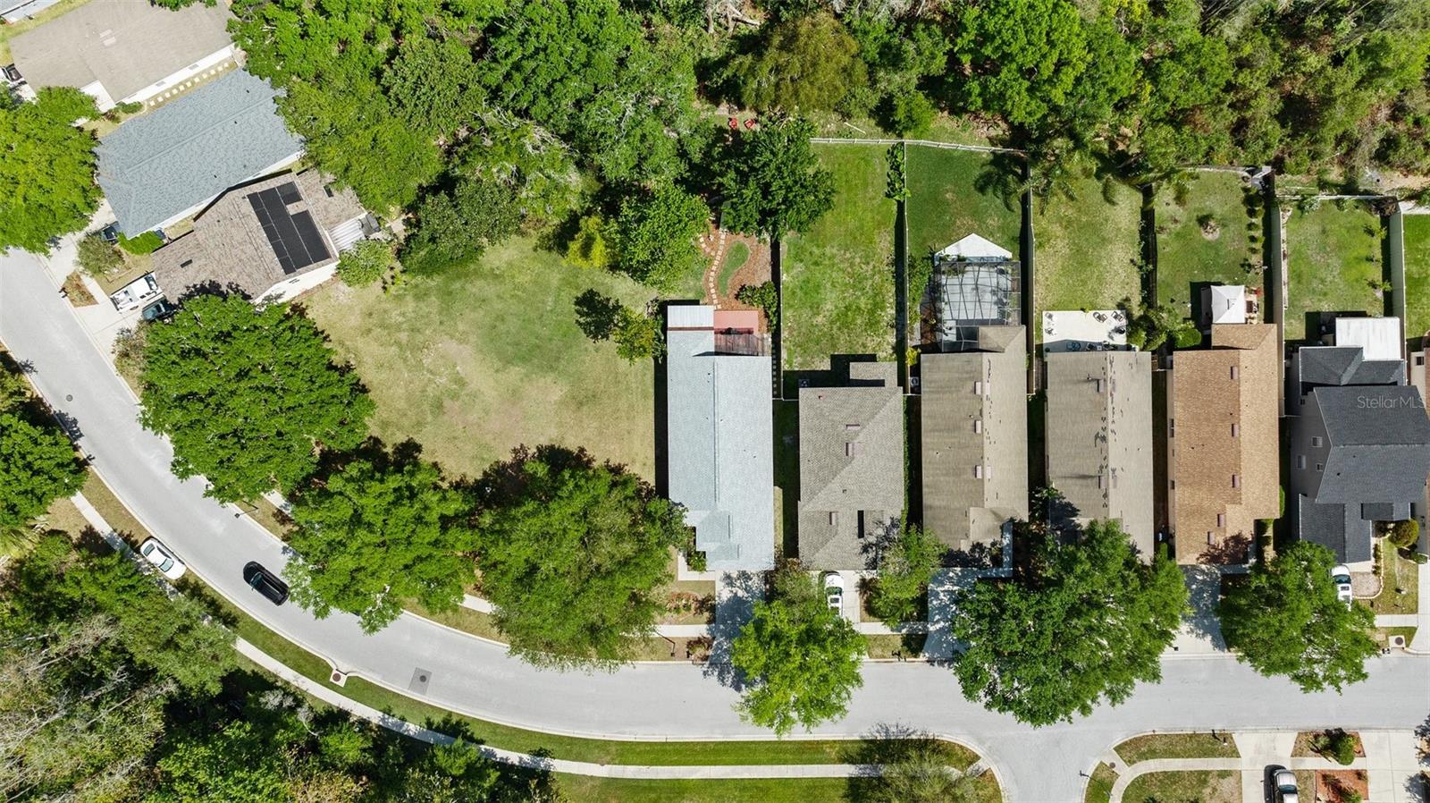7816 CITRUS BLOSSOM DR, LAND O LAKES, FL, 34637