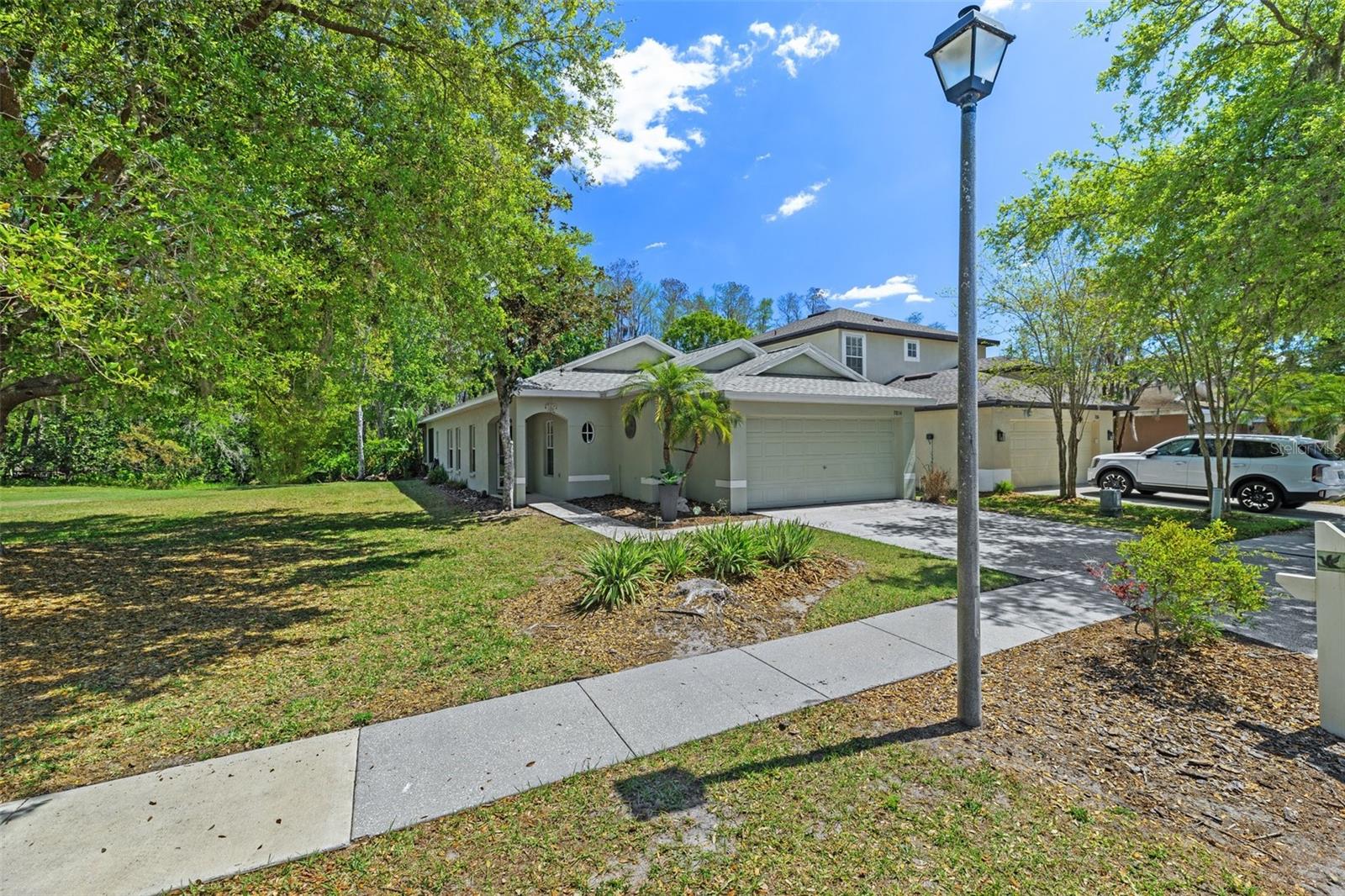 7816 CITRUS BLOSSOM DR, LAND O LAKES, FL, 34637