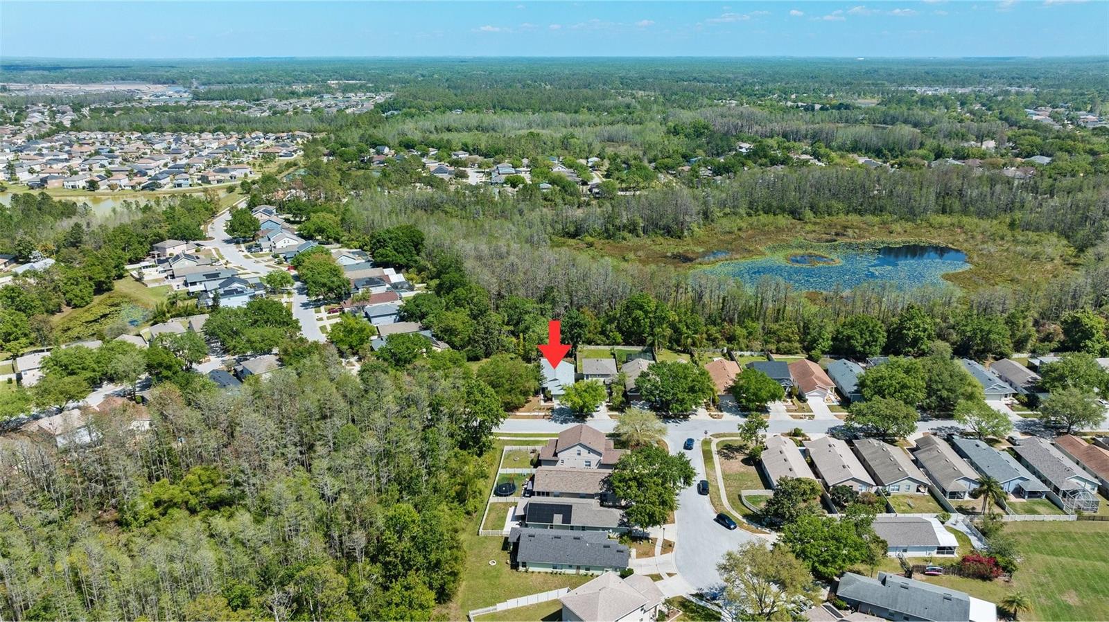 7816 CITRUS BLOSSOM DR, LAND O LAKES, FL, 34637