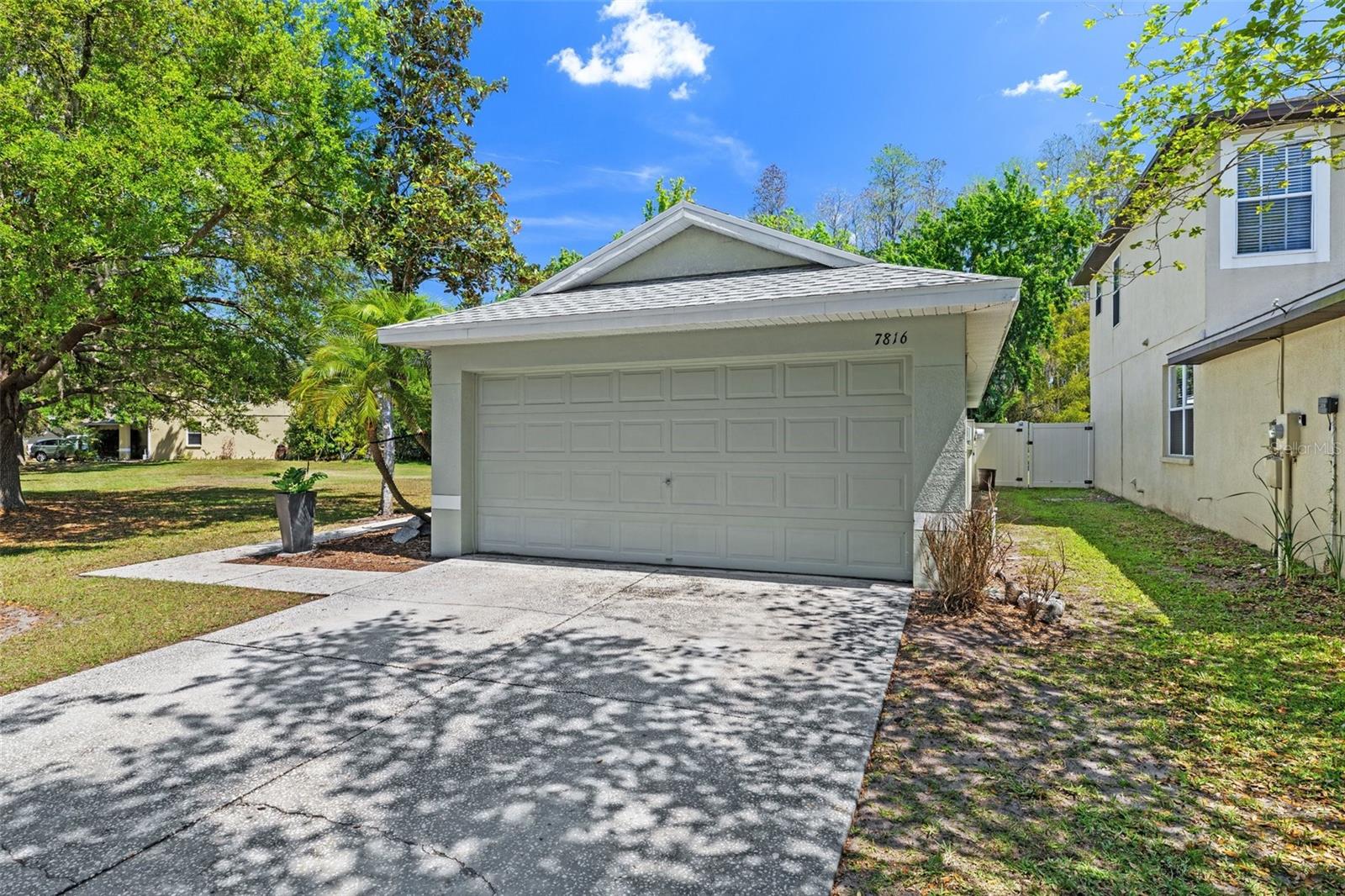 7816 CITRUS BLOSSOM DR, LAND O LAKES, FL, 34637