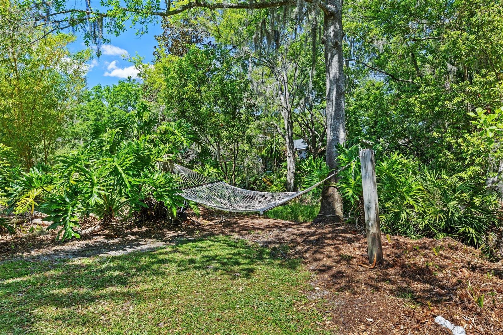 7816 CITRUS BLOSSOM DR, LAND O LAKES, FL, 34637