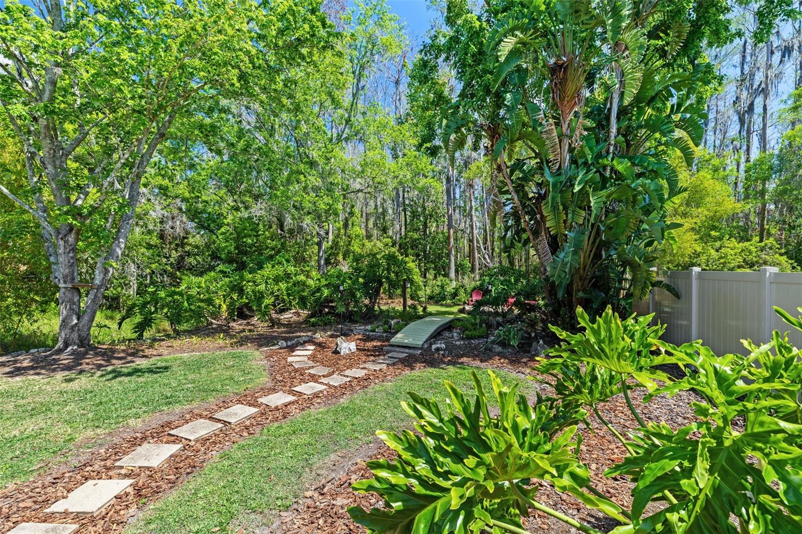 7816 CITRUS BLOSSOM DR, LAND O LAKES, FL, 34637