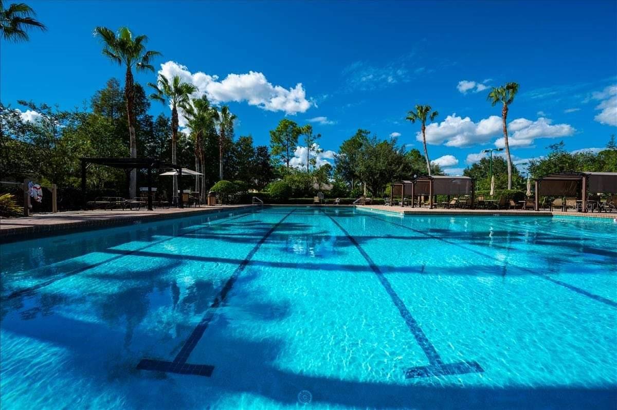 7816 CITRUS BLOSSOM DR, LAND O LAKES, FL, 34637