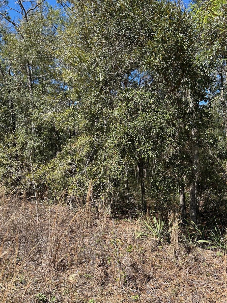 TBA SW 55TH ST, OCALA, FL, 34481