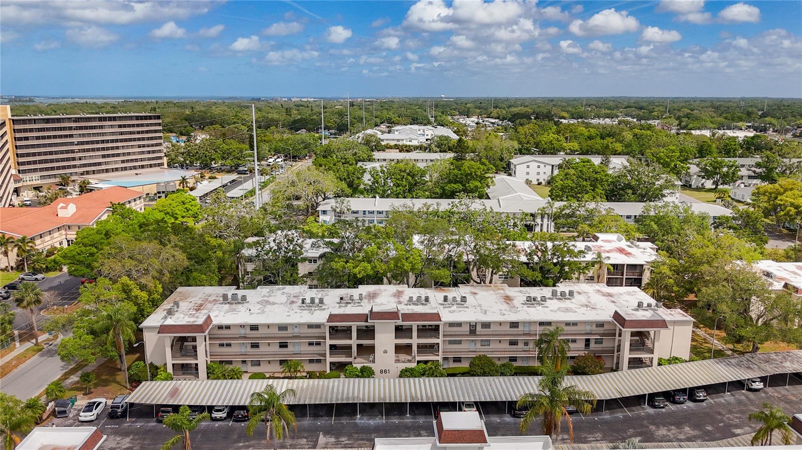 861 MAPLE CT #205, DUNEDIN, FL, 34698