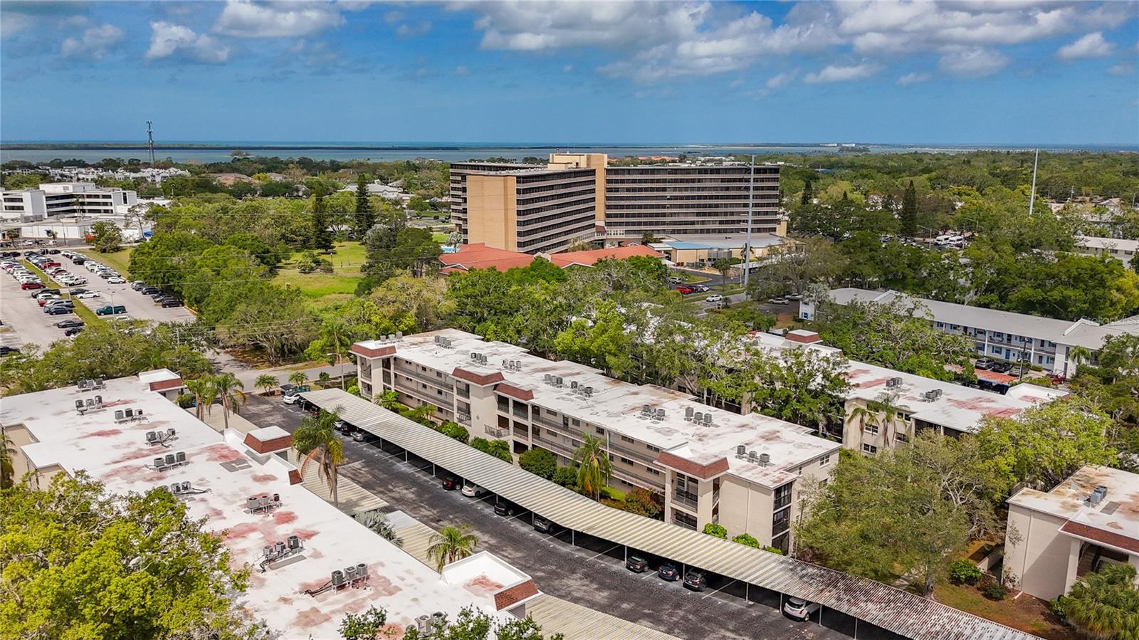 861 MAPLE CT #205, DUNEDIN, FL, 34698