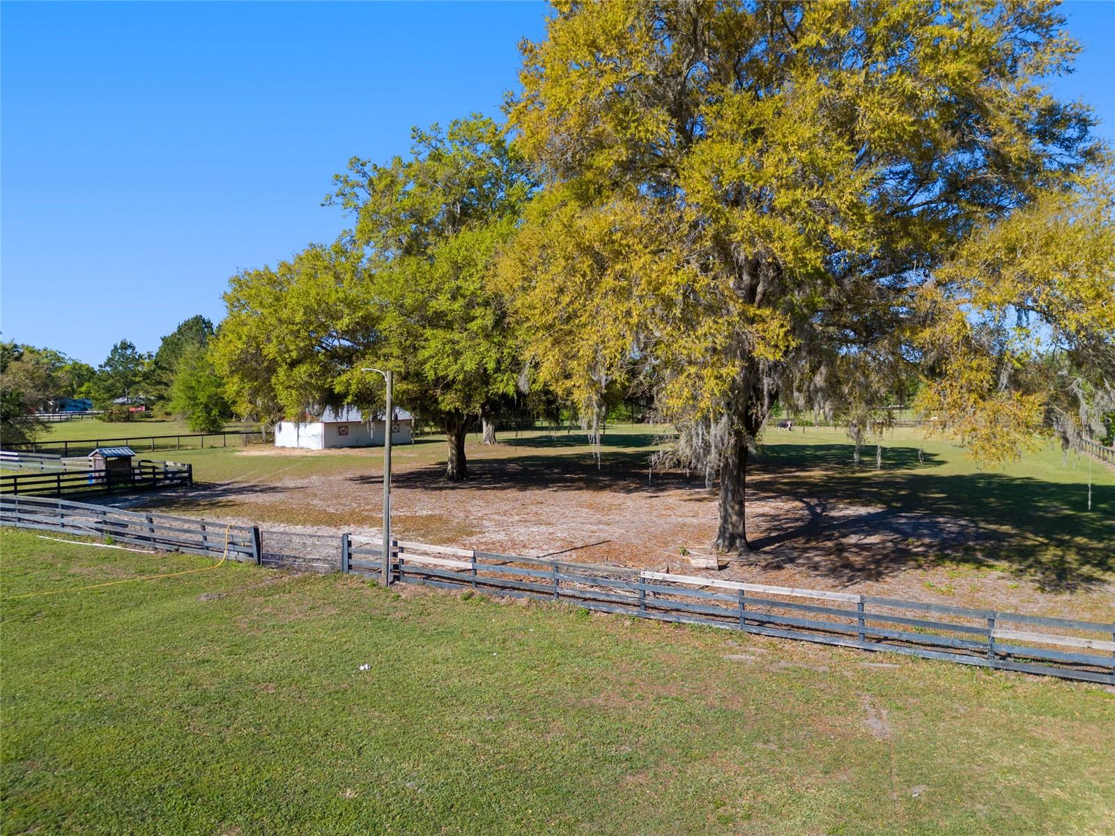 4480 NW 110TH AVE, OCALA, FL, 34482