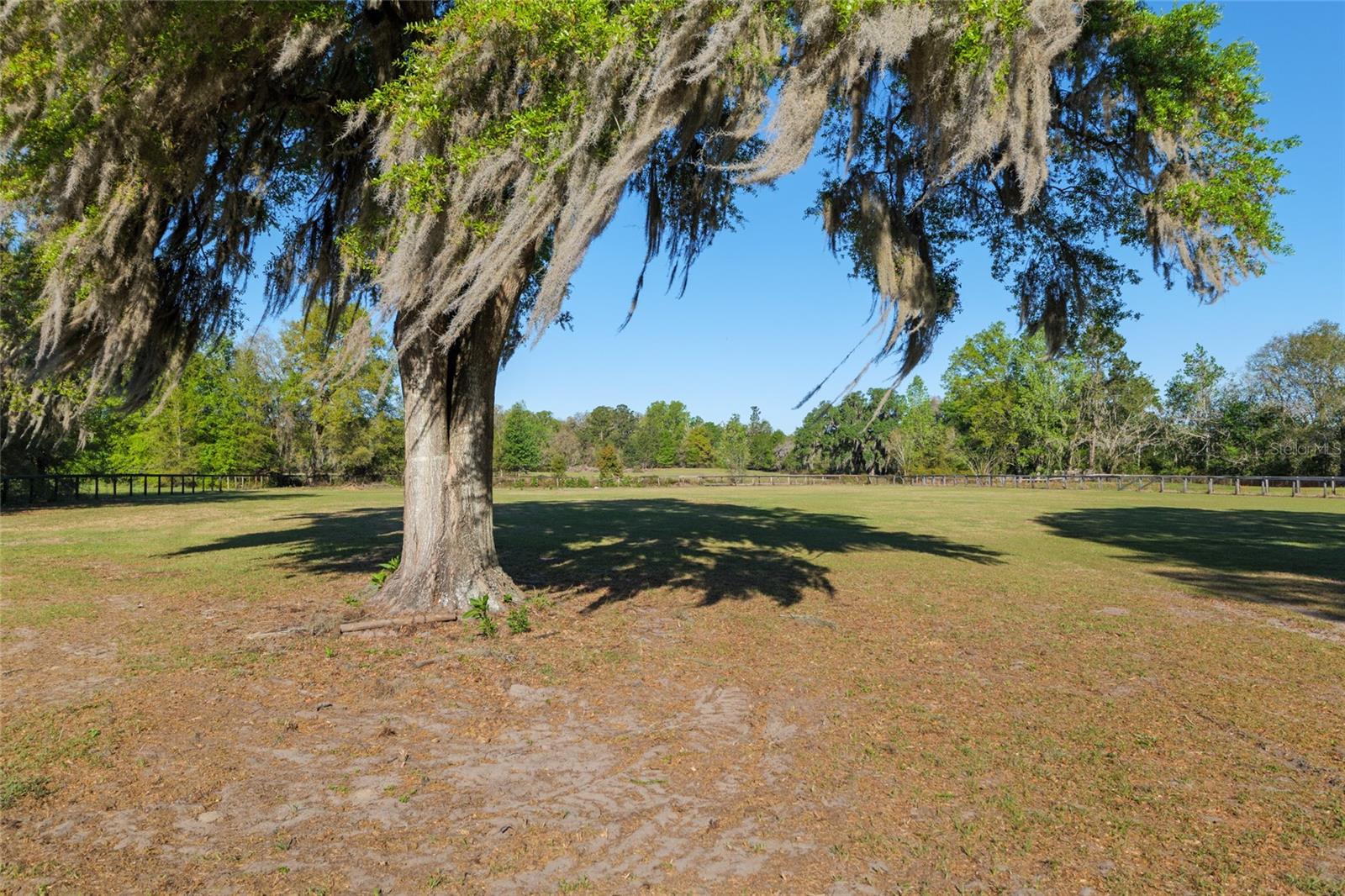 4480 NW 110TH AVE, OCALA, FL, 34482