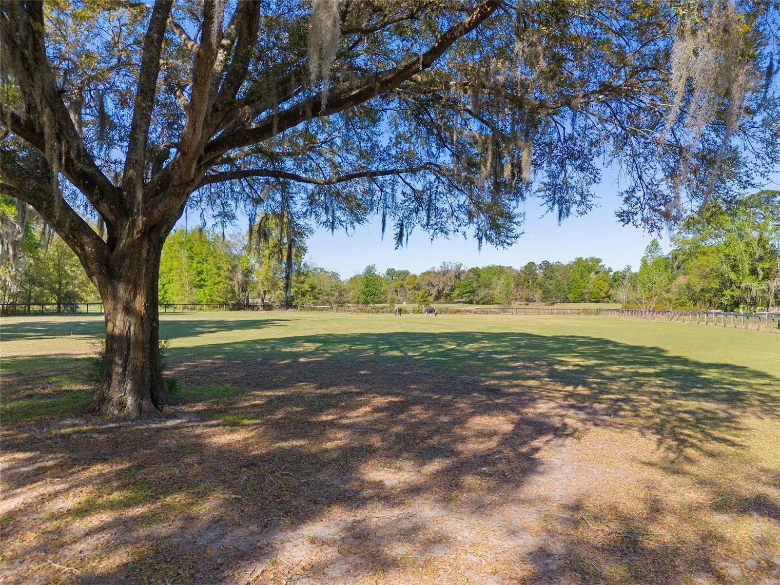 4480 NW 110TH AVE, OCALA, FL, 34482