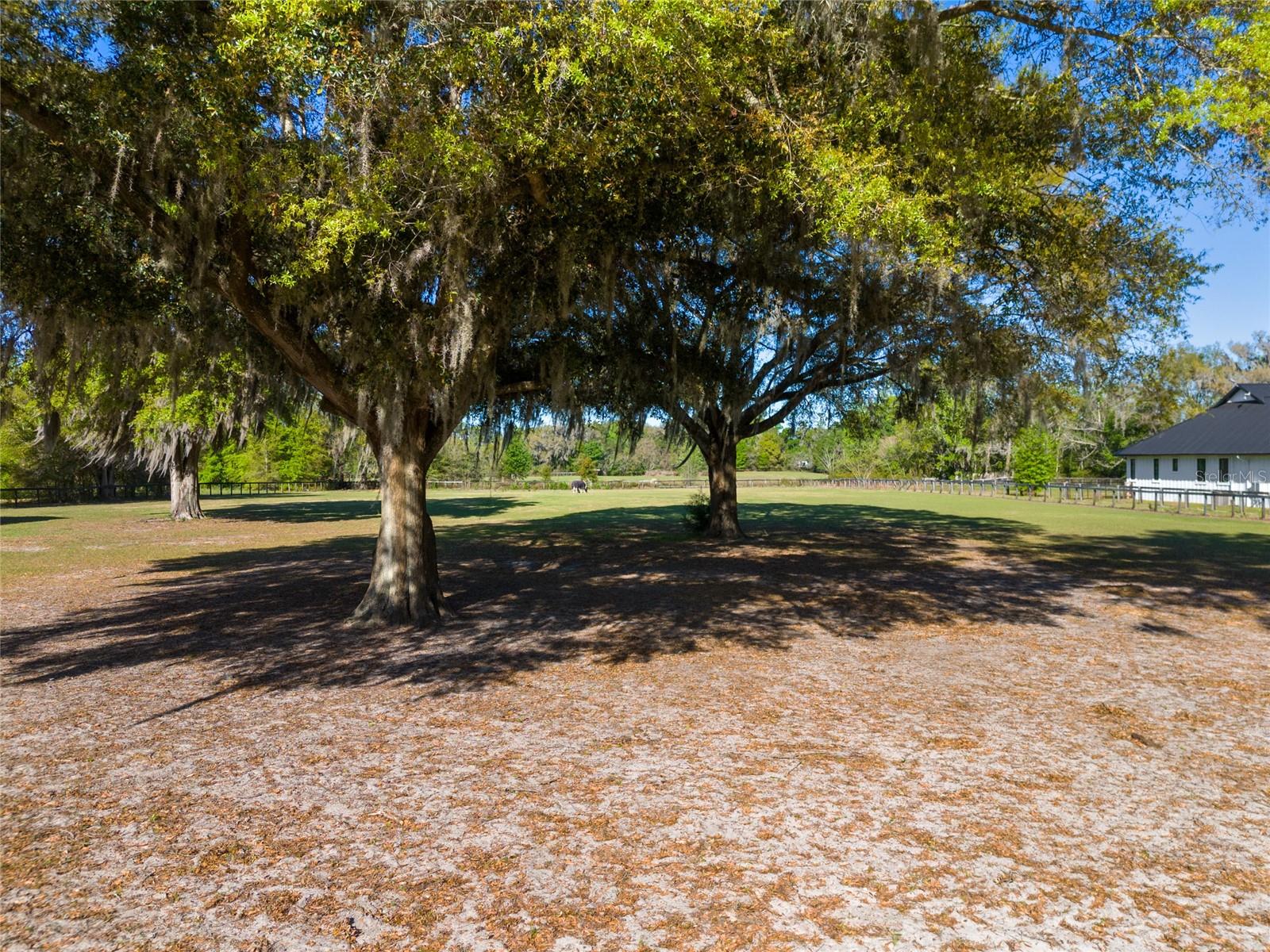 4480 NW 110TH AVE, OCALA, FL, 34482