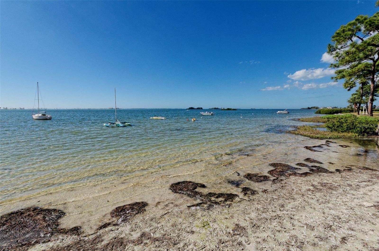 2700 BAYSHORE BLVD #9209, DUNEDIN, FL, 34698