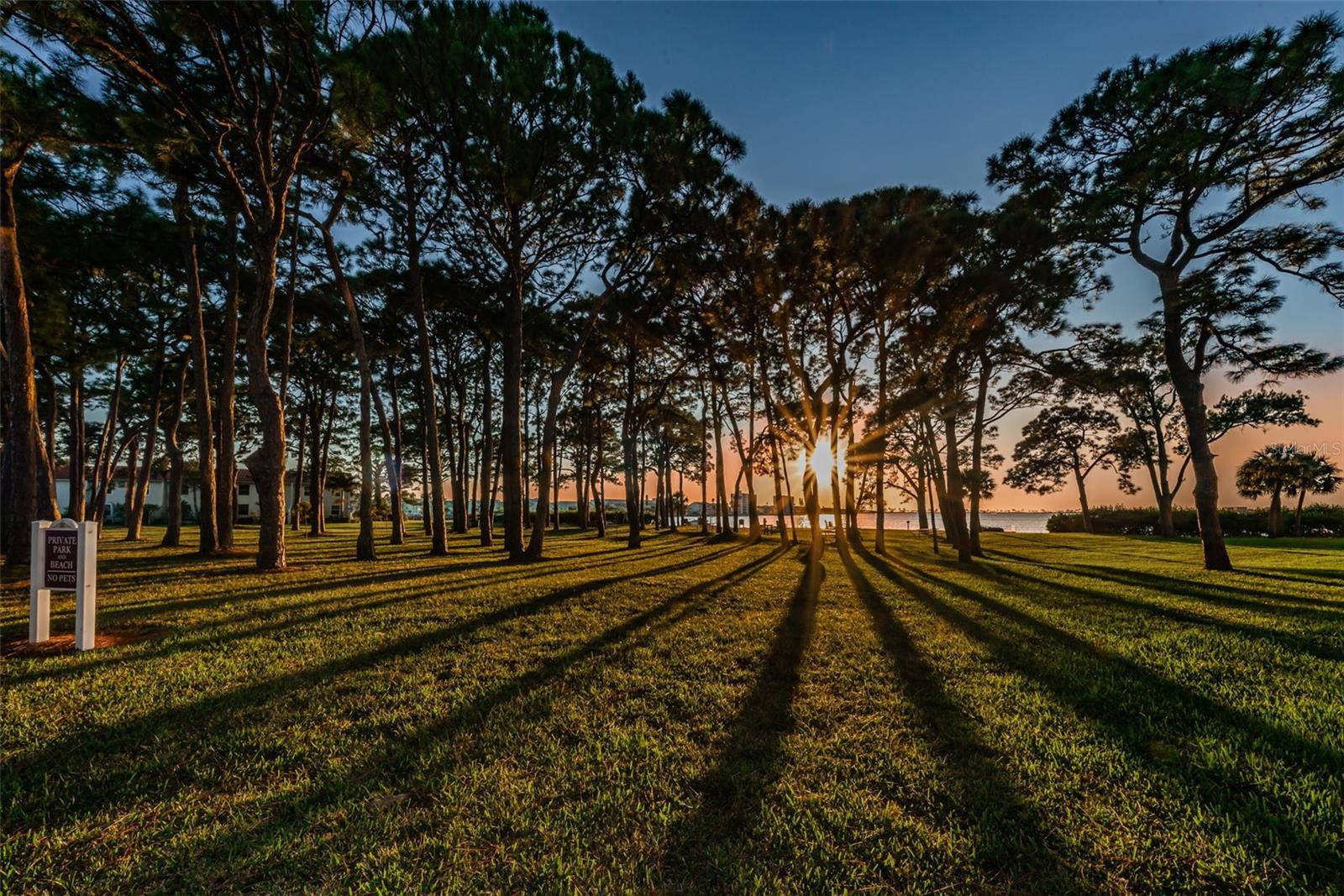 2700 BAYSHORE BLVD #9209, DUNEDIN, FL, 34698