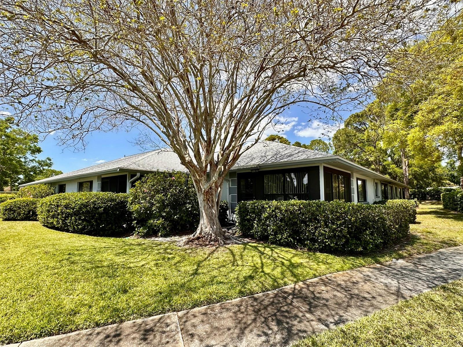 2753 COUNTRYSIDE BLVD #105, CLEARWATER, FL, 33761