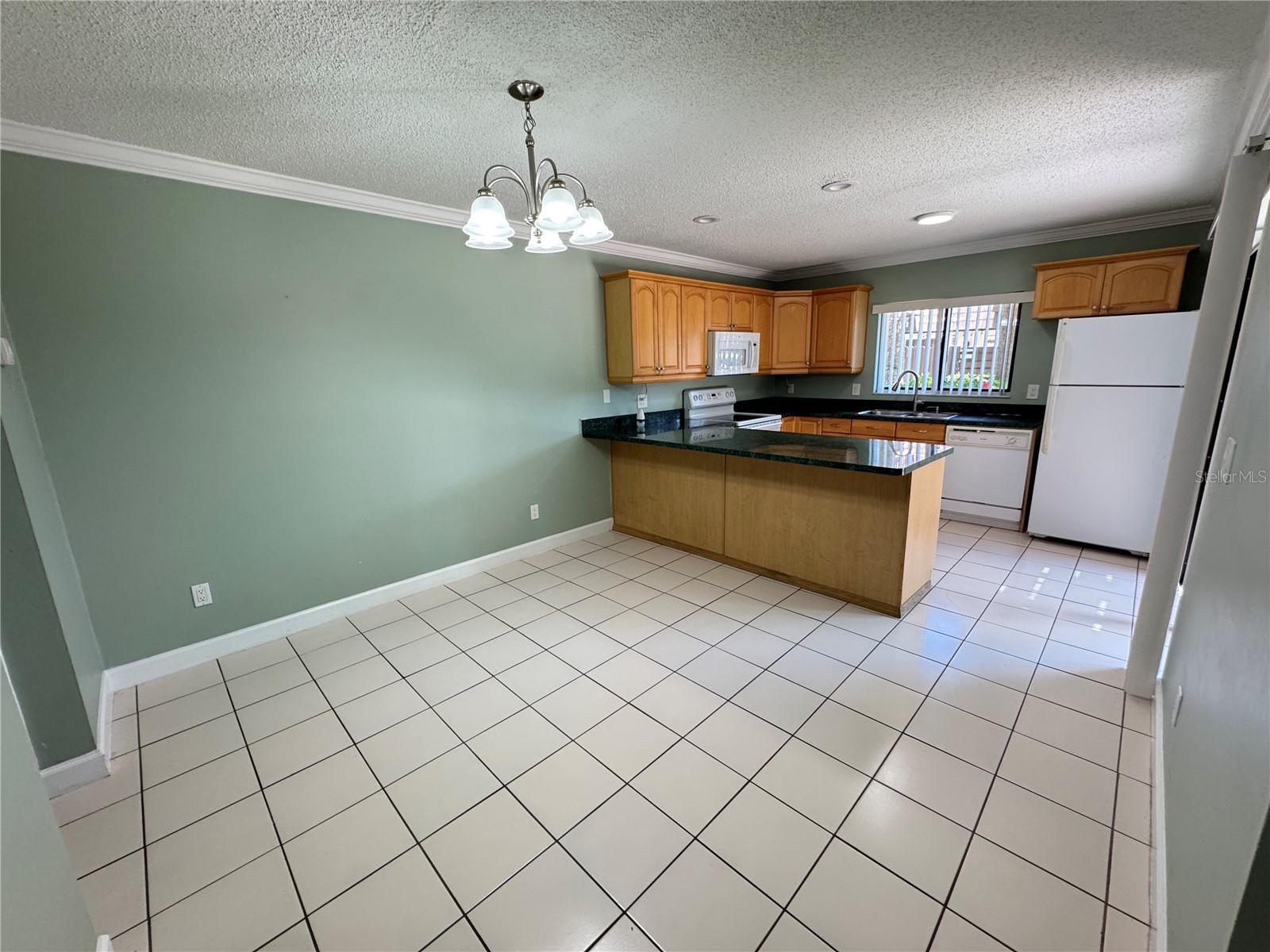 15311 W POND WOODS DR, TAMPA, FL, 33618