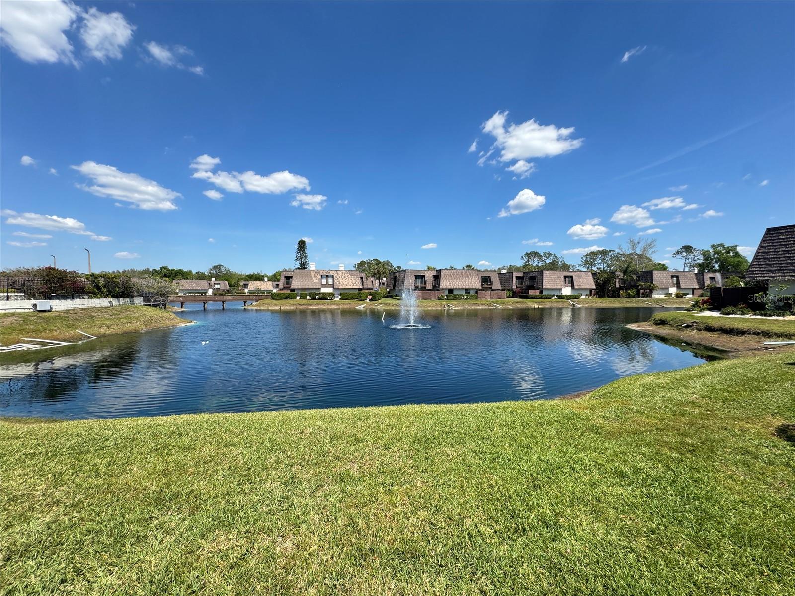 15311 W POND WOODS DR, TAMPA, FL, 33618