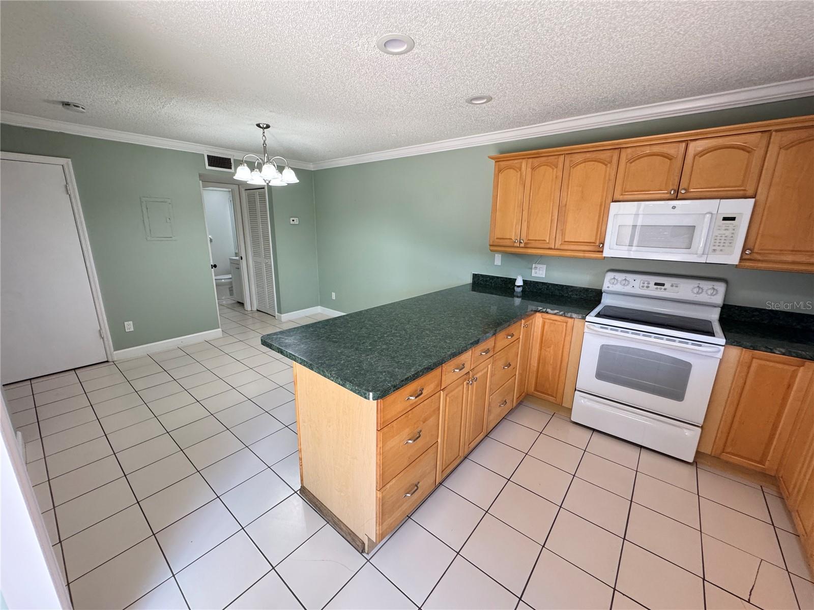 15311 W POND WOODS DR, TAMPA, FL, 33618