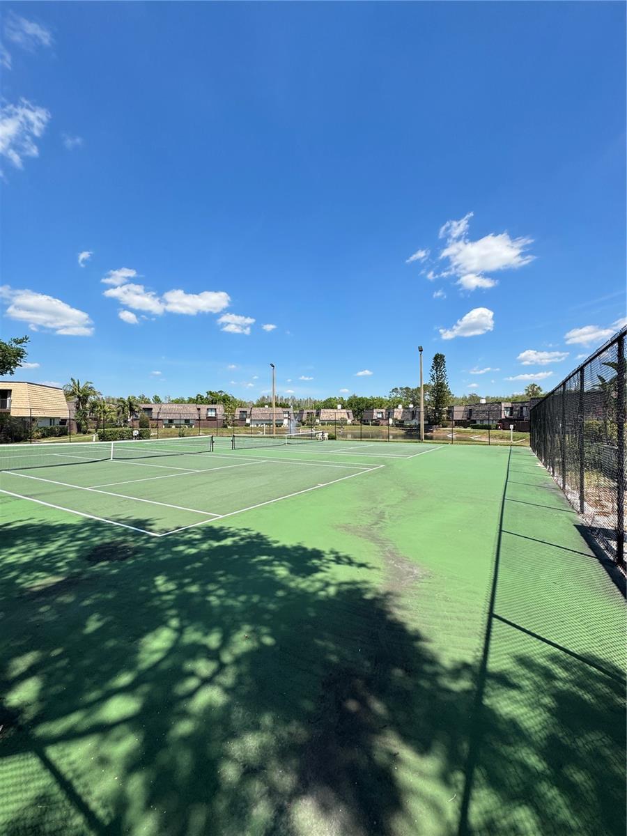 15311 W POND WOODS DR, TAMPA, FL, 33618