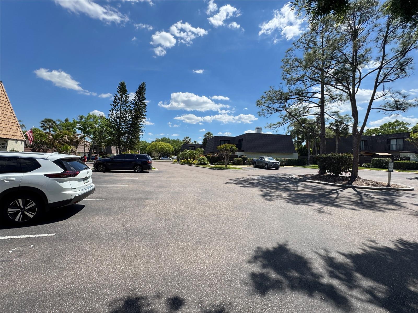 15311 W POND WOODS DR, TAMPA, FL, 33618