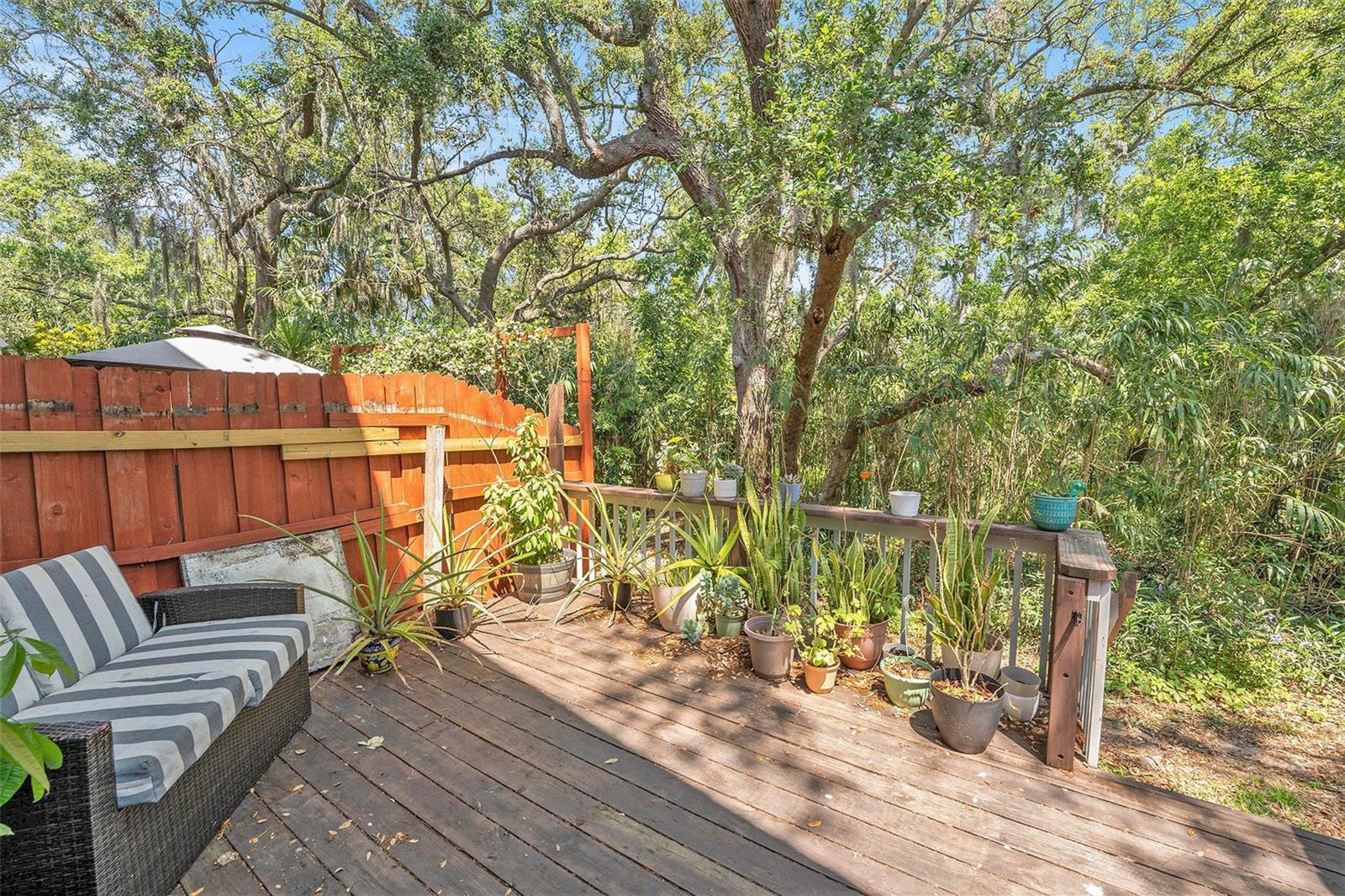 290 WINCHESTER WAY, PALM HARBOR, FL, 34684