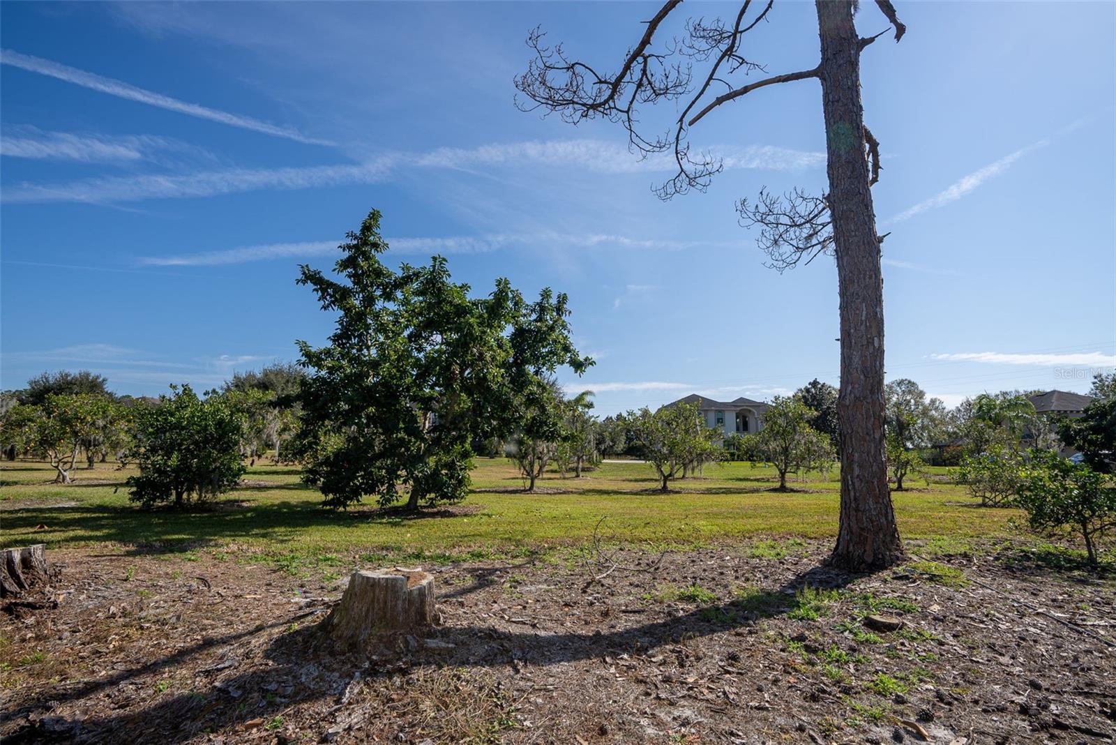 15612 HOWELL PARK LN, TAMPA, FL, 33625
