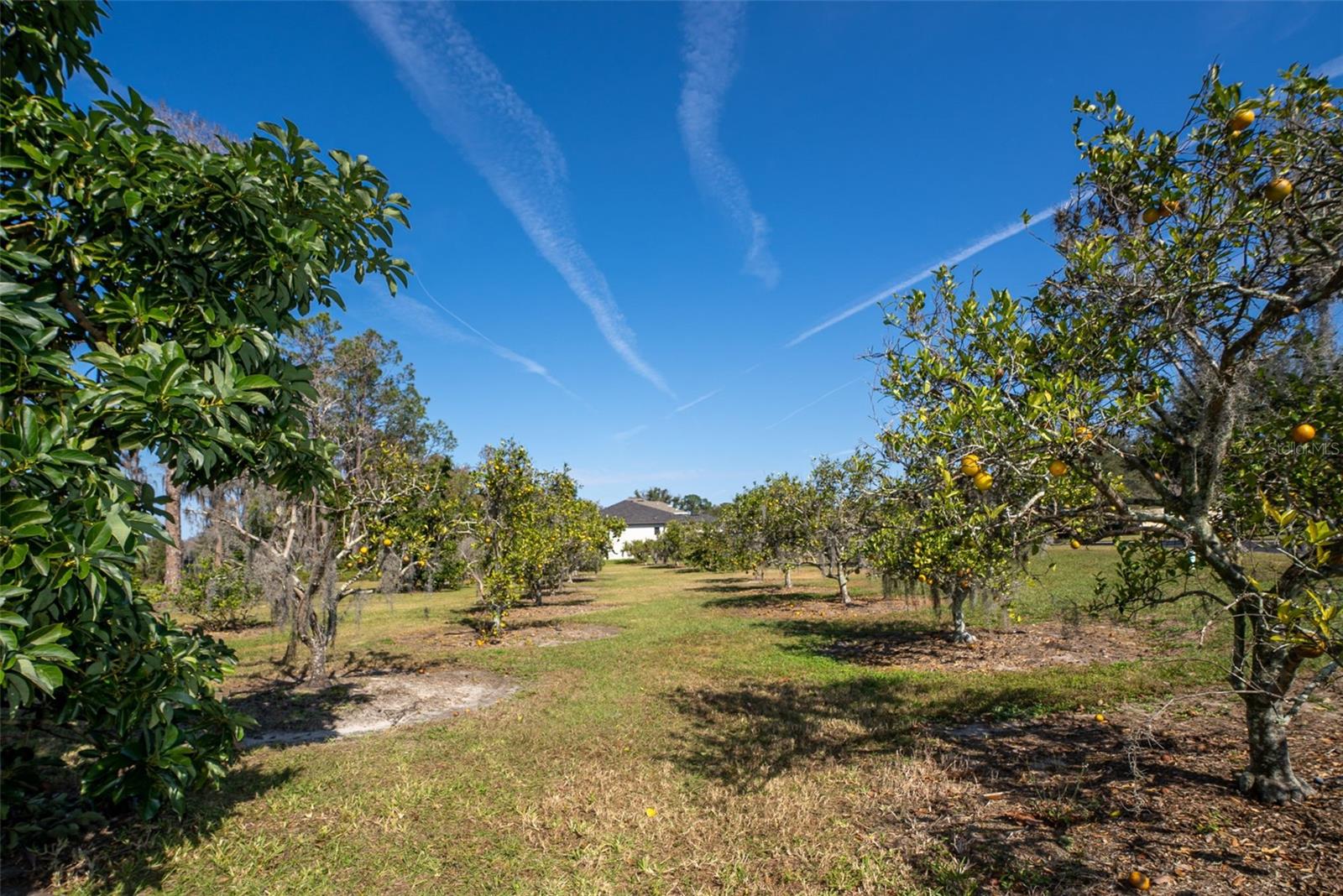 15612 HOWELL PARK LN, TAMPA, FL, 33625