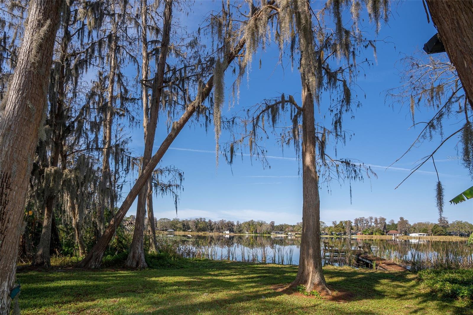 15612 HOWELL PARK LN, TAMPA, FL, 33625