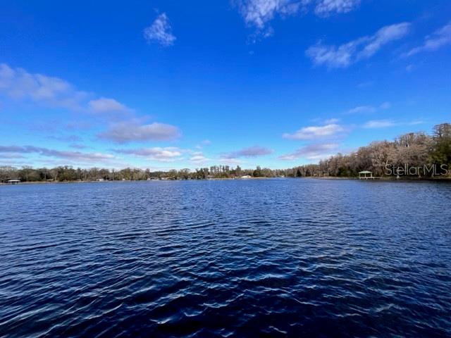 15612 HOWELL PARK LN, TAMPA, FL, 33625