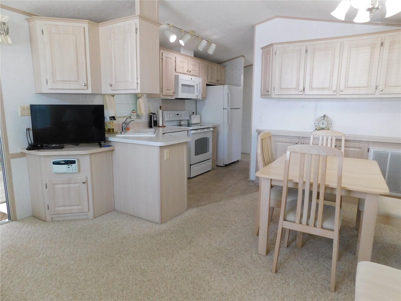 1385 PINE ISLAND DR S, ST CLOUD, FL, 34771