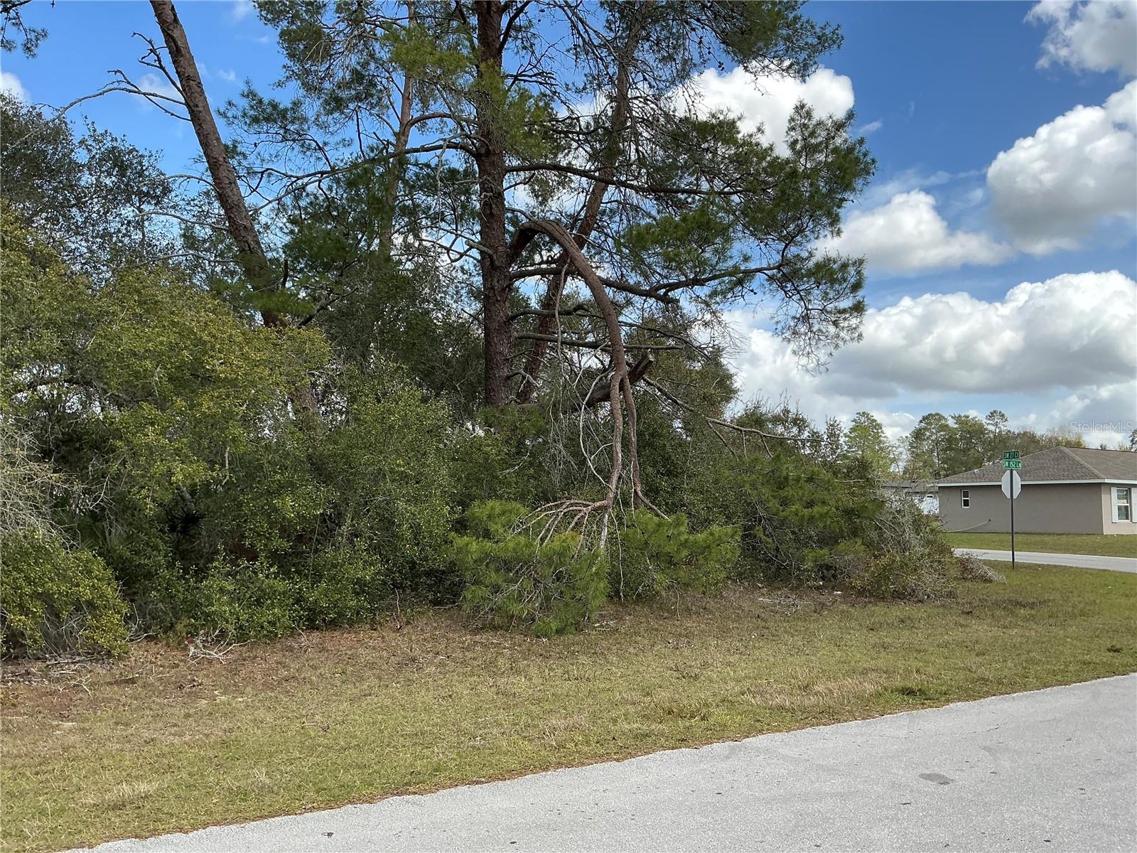 0 SW 152ND LN, OCALA, FL, 34473