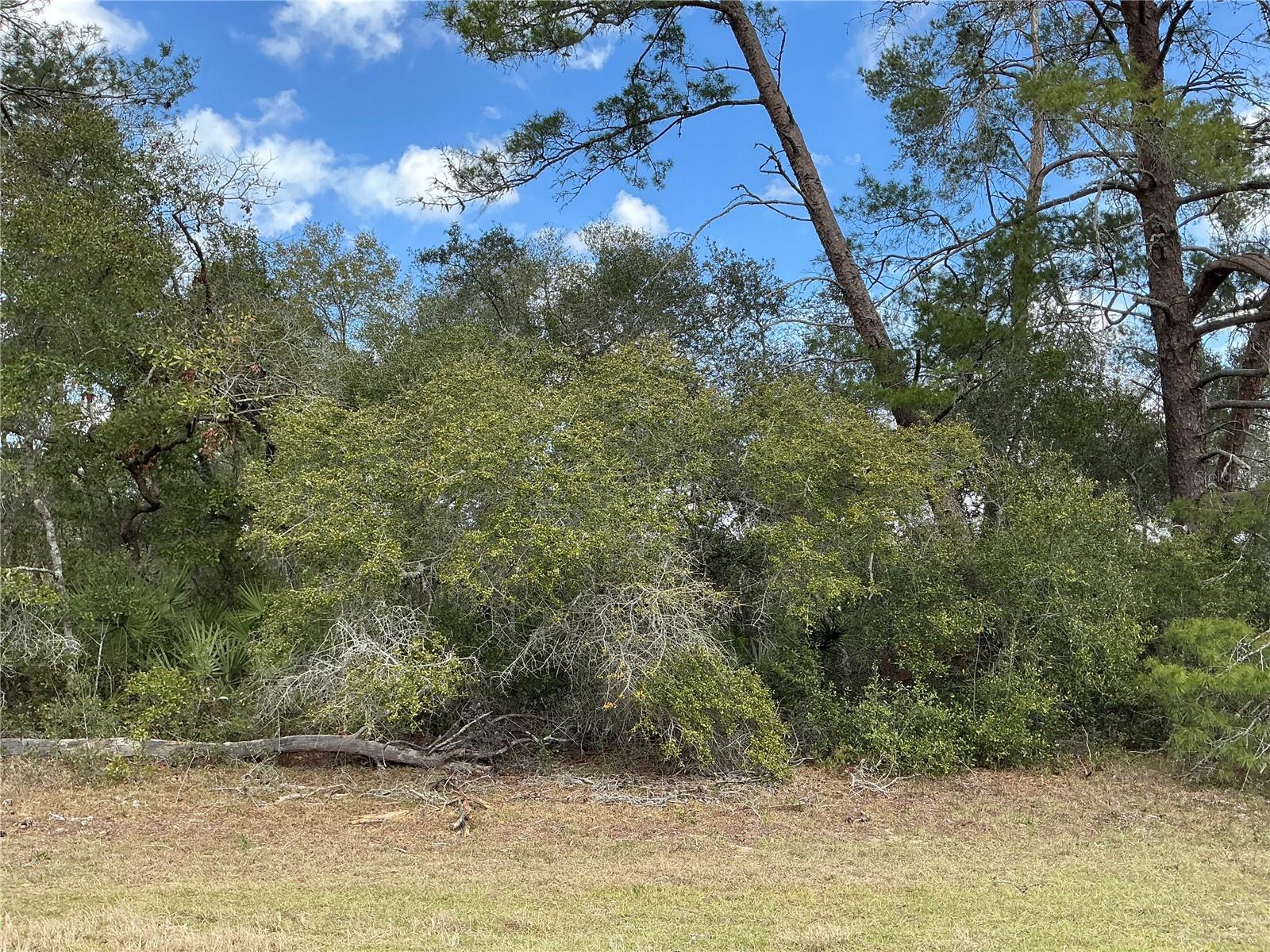 0 SW 152ND LN, OCALA, FL, 34473
