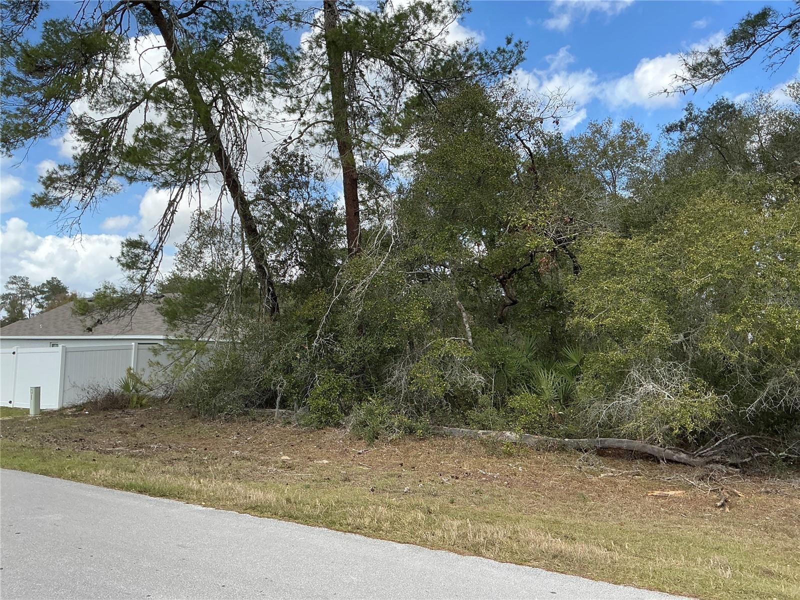 0 SW 152ND LN, OCALA, FL, 34473