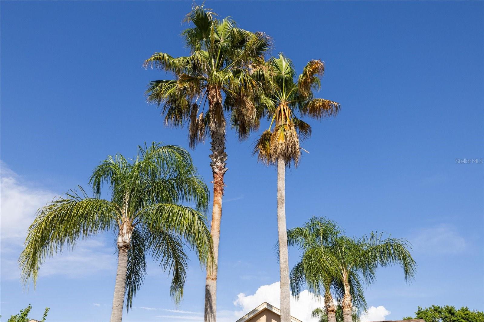 5412 MERKIN PL, NEW PORT RICHEY, FL, 34655