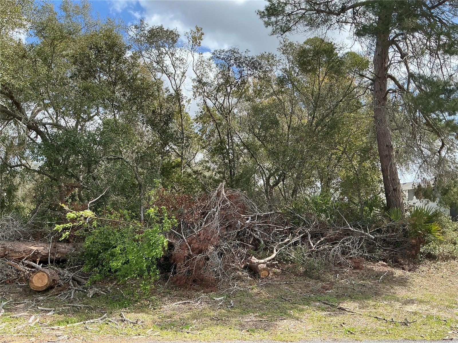 0 SW 154TH PLACE RD, OCALA, FL, 34473