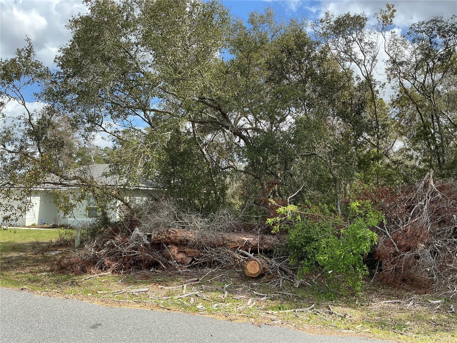 0 SW 154TH PLACE RD, OCALA, FL, 34473