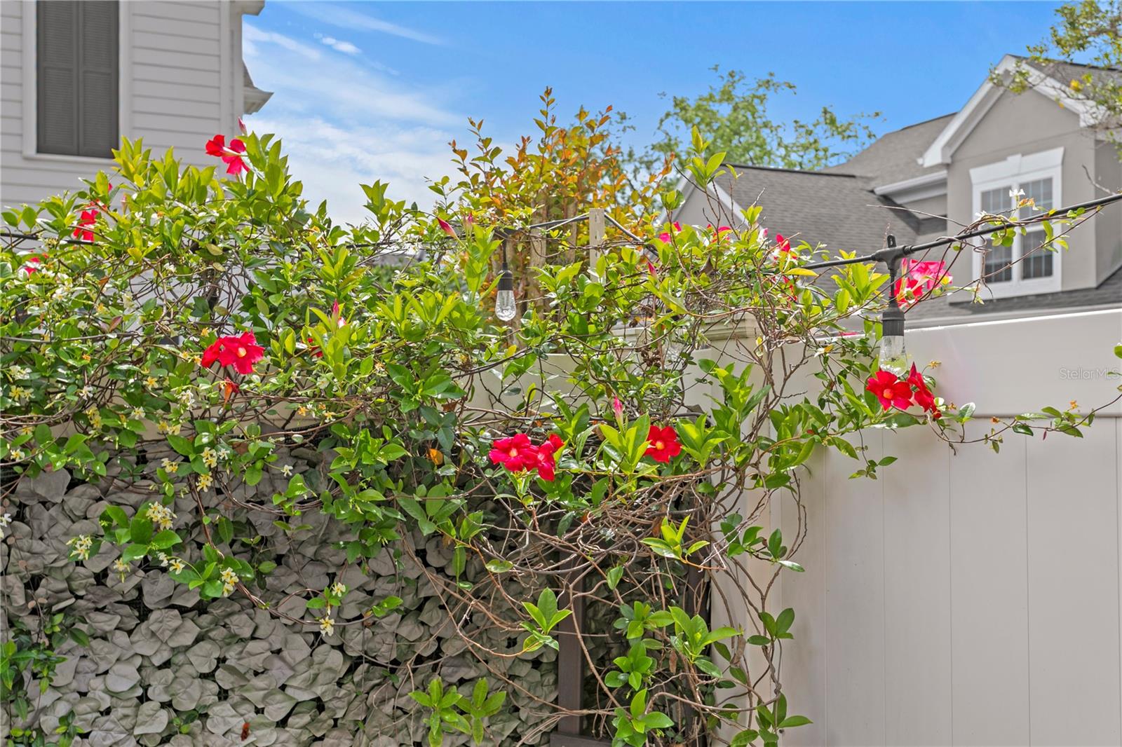 330 INNER HARBOUR CIR, TAMPA, FL, 33602