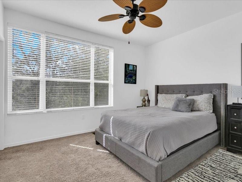 3106 BAYSHORE OAKS DR, TAMPA, FL, 33611