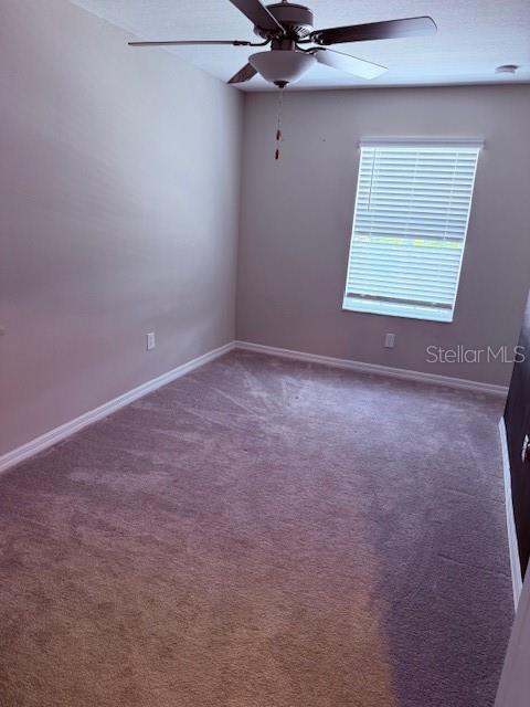 2136 CERULEAN SKY WAY, LUTZ, FL, 33558