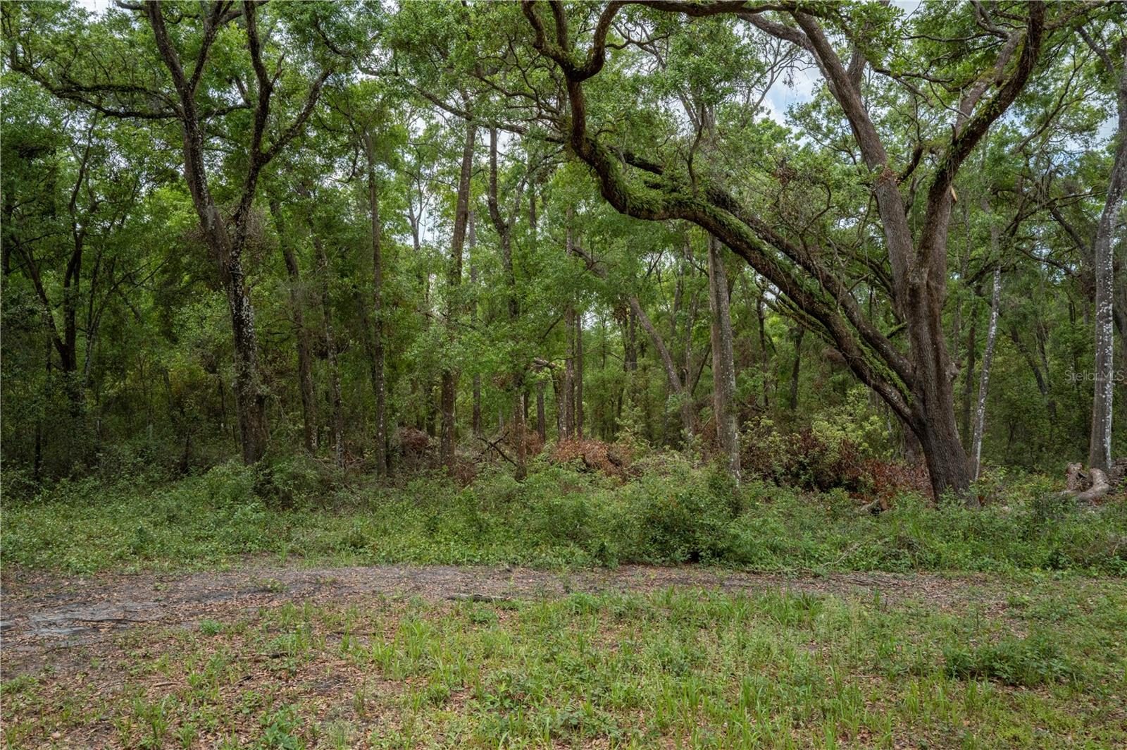 18351 DEASON DR, SPRING HILL, FL, 34610