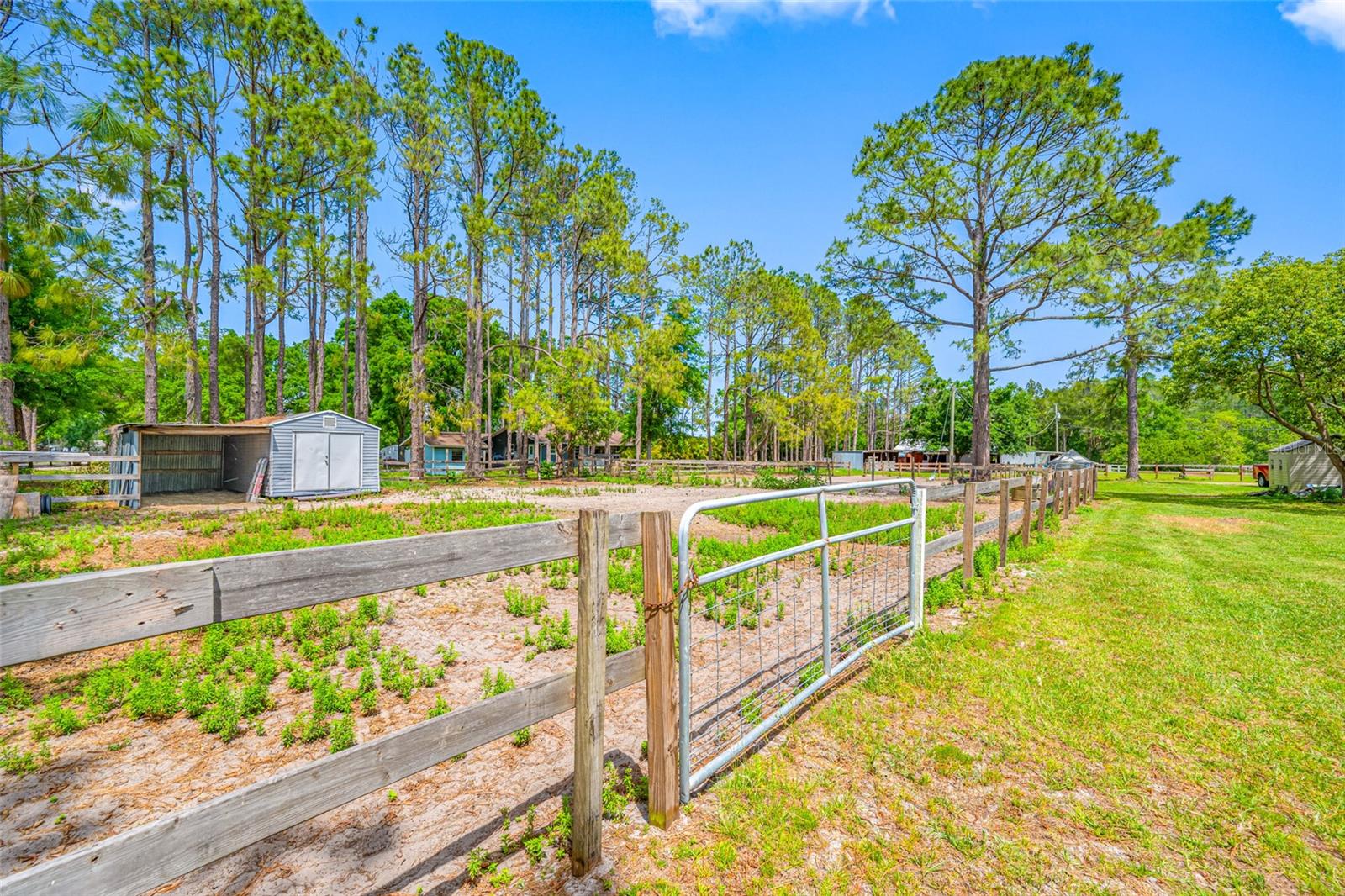 12511 TYLER RUN AVE, ODESSA, FL, 33556
